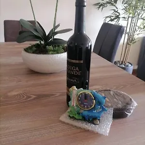 https://canio-ocean-getaway.madeira-islandshotels.com